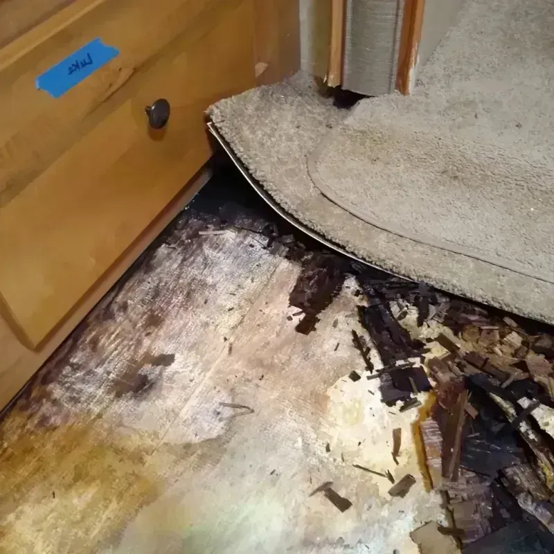 Wood Floor Water Damage in Alto, TX